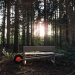 Weltevree® Wheelbench